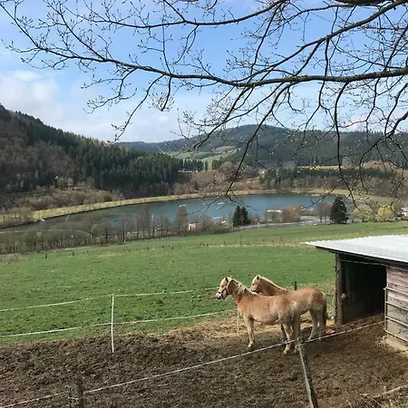 Haus Schoene Aussicht - Winterberg/niedersfeld * Winterberg