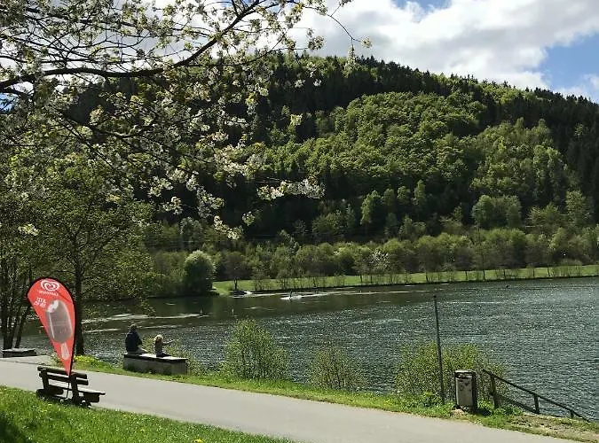 Haus Schoene Aussicht - Winterberg/niedersfeld Lejlighed Winterberg