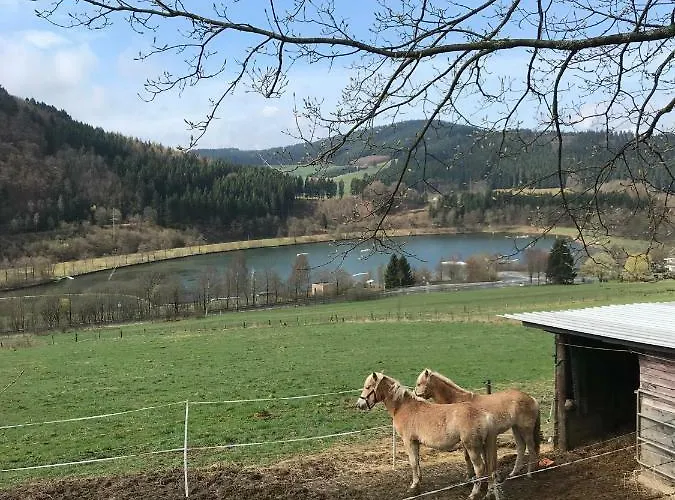 Haus Schoene Aussicht - Winterberg/niedersfeld * ヴィンターベルク